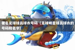 著名足球球员球衣号码（足球明星球员球衣的号码和名字）