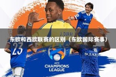东欧和西欧联赛的区别（东欧国际赛事）