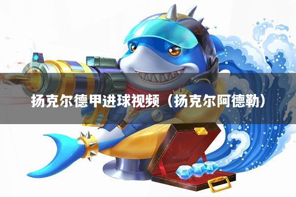 扬克尔德甲进球视频(扬克尔阿德勒)